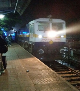 Tåget rullar in på Madgaon C