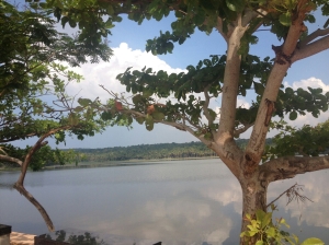 Vellayani lake